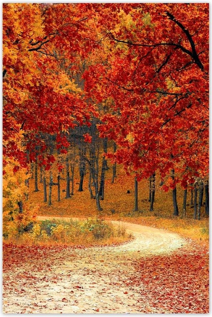 Poszterek 80x120 Tájkép