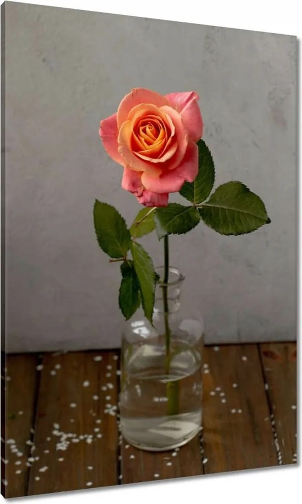 Vászonkép 70x100 Rózsa Virág Virágok Rózsa