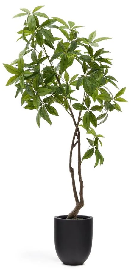 Műnövény (magasság 180 cm) Pachira – Kave Home