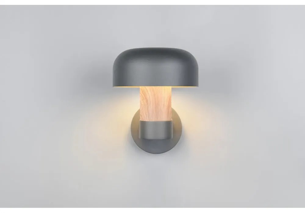 Fali kültéri lámpa (magasság 24,5 cm) Fraser – Trio