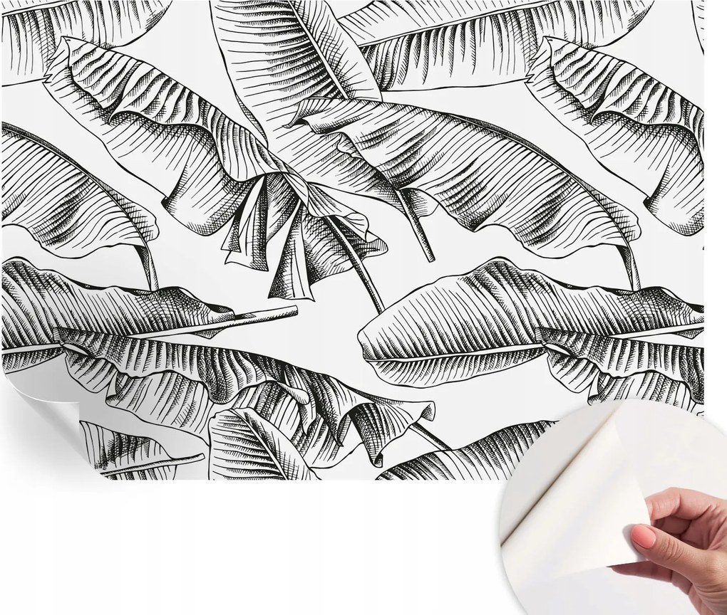 Öntapadós fotótapéta a konyhába Mosható Banán levelek 152x104 cm