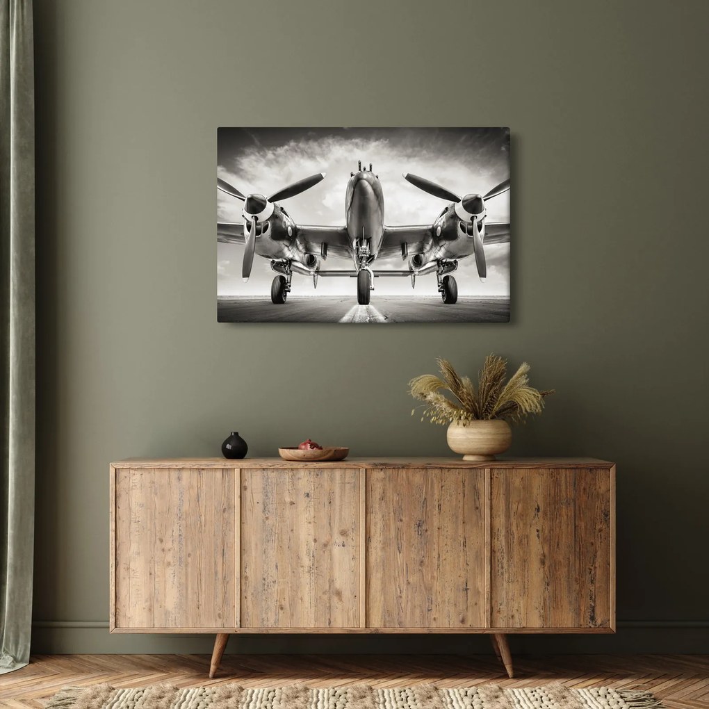 Kép - Warbird (90x60 cm)