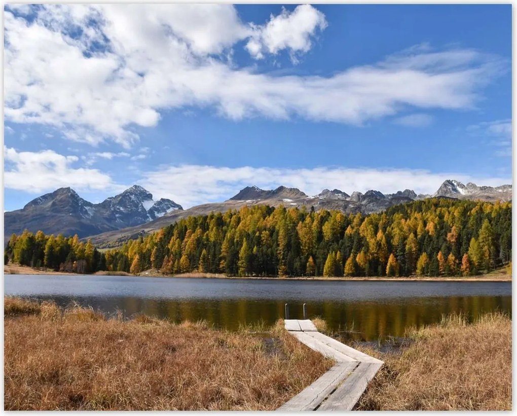 Poszterek 50x40 Tájkép Fa híd