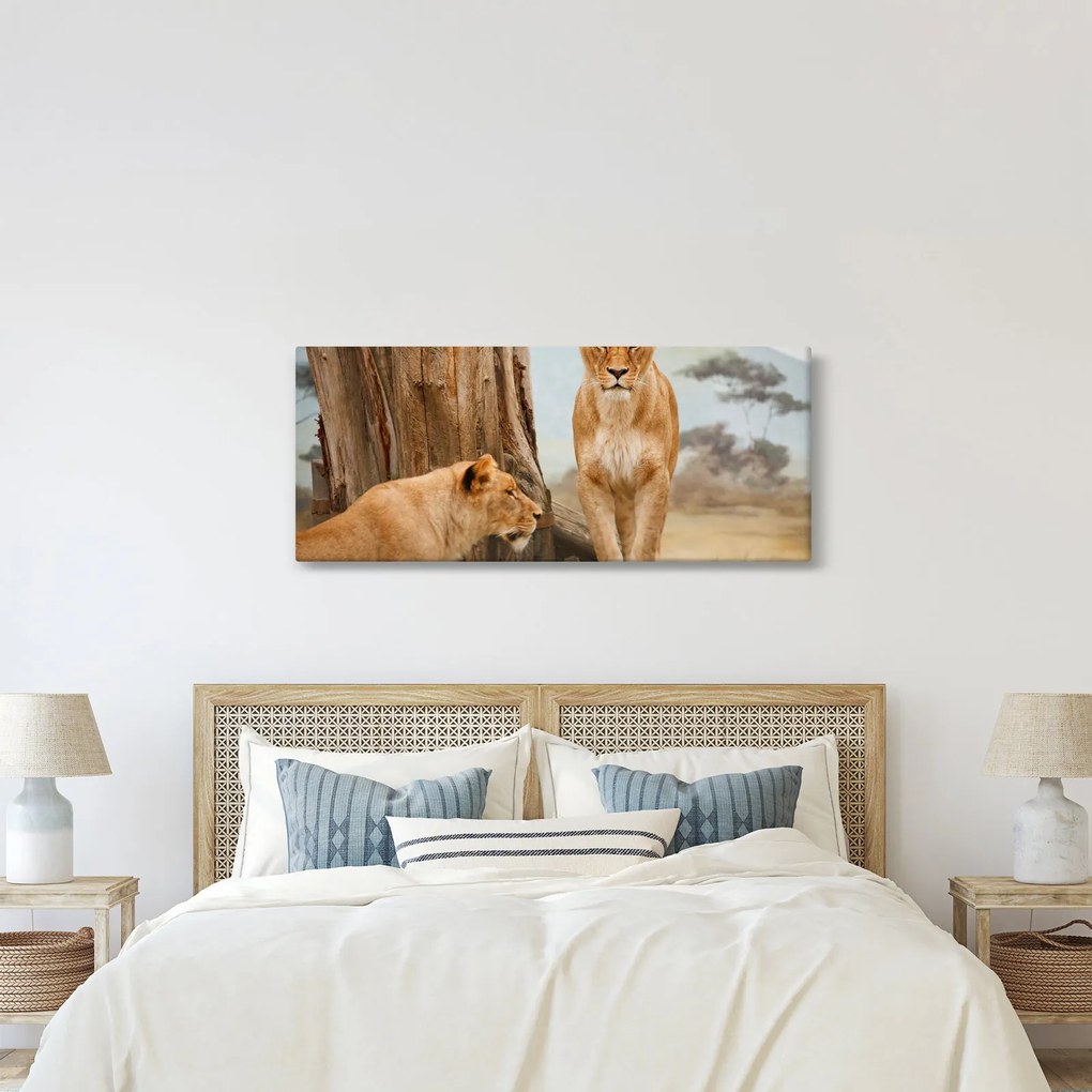 Kép - két oroszlán (120x50 cm)