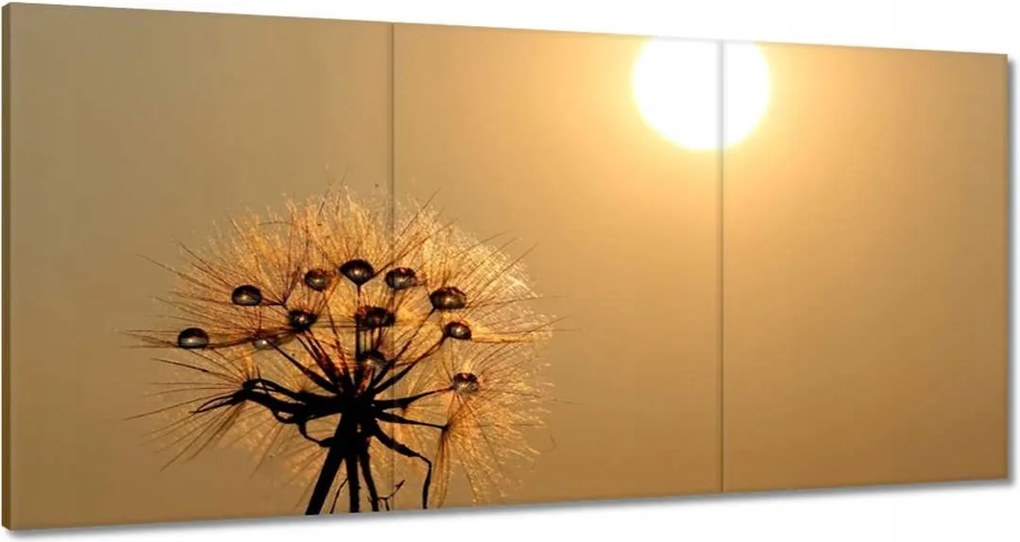 Vászonkép 120x60 Pitypang Virág Virágok