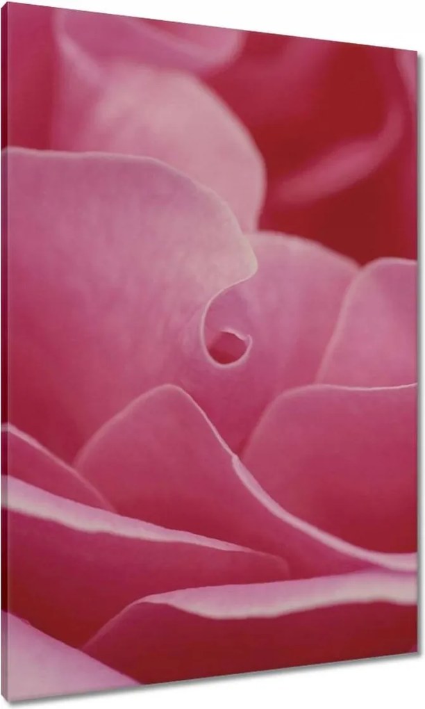 Vászonkép 70x100 Nőnap Ajándék Love