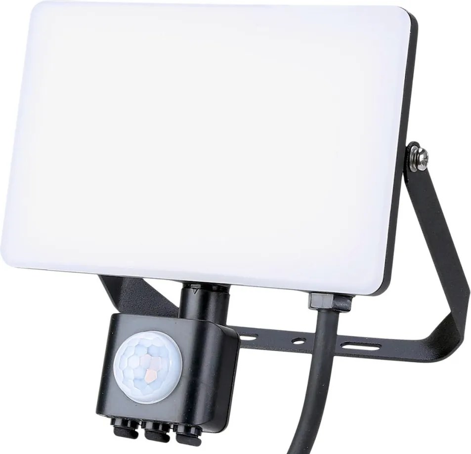 EKO LIGHT EKN9019 FLOODLIGHT Kültéri Reflektor Fekete LED IP44