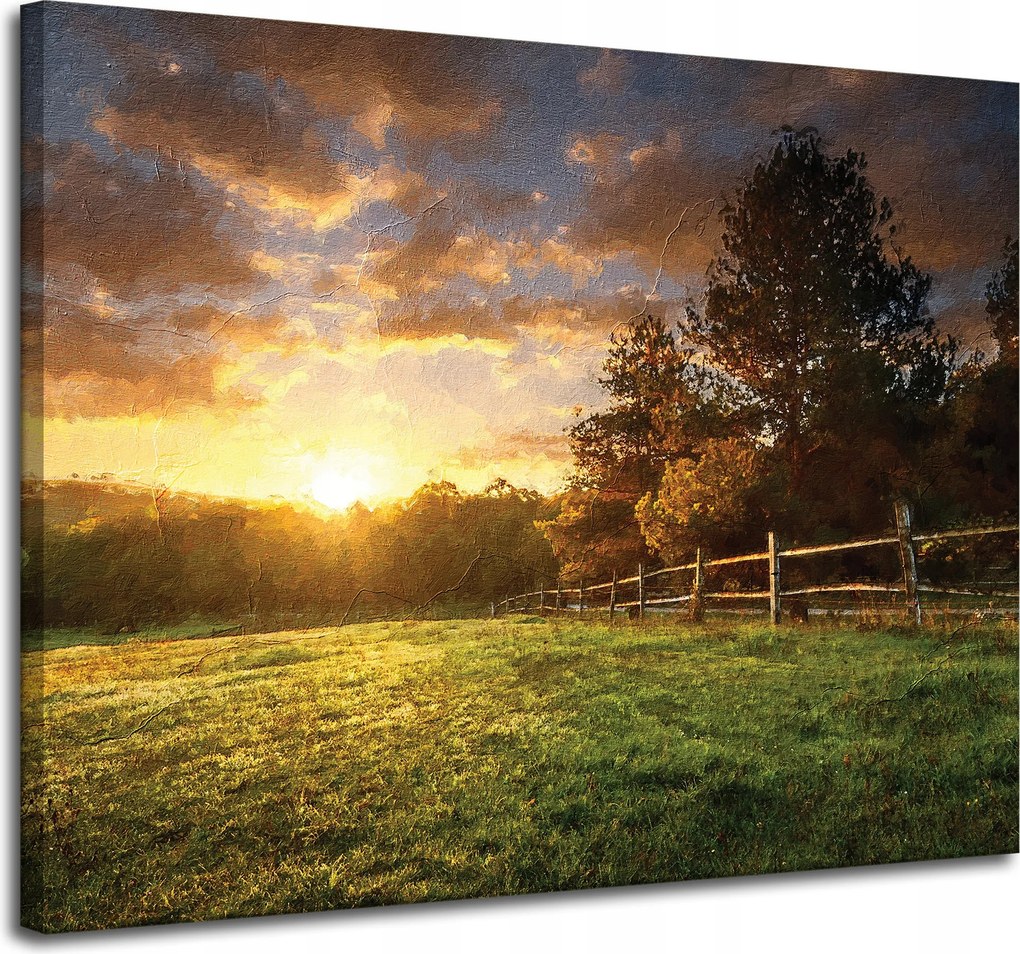 Vászonkép Nap Tájkép Falusi fák Rét 100x80 cm