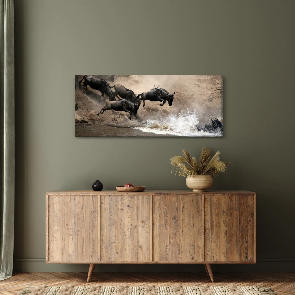Kép - Gnúcsorda (120x50 cm)