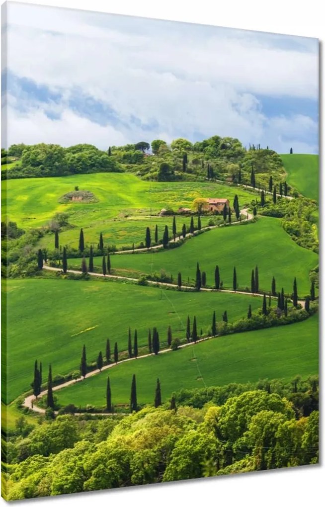 Vászonkép 60x80 Út a mezőkön át Toszkánában