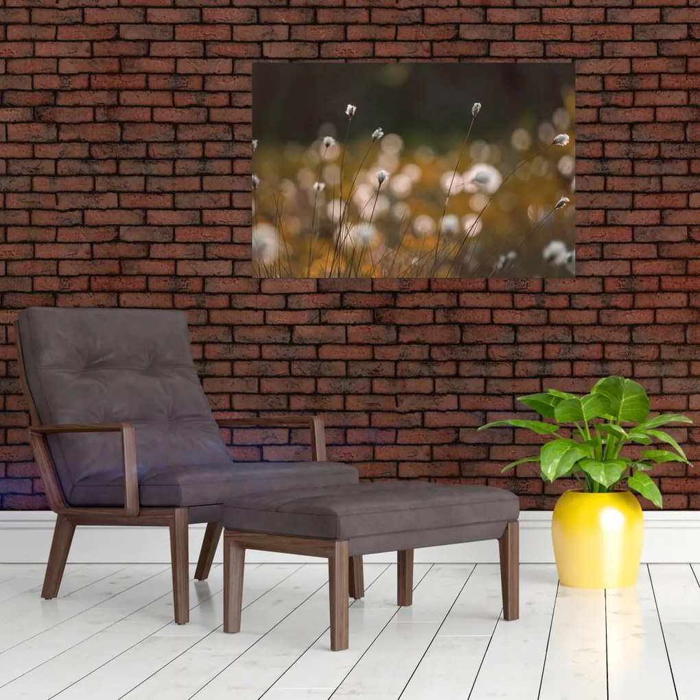 Kép - Gyapotfűvel borított rét N⁰2 (90x60 cm)