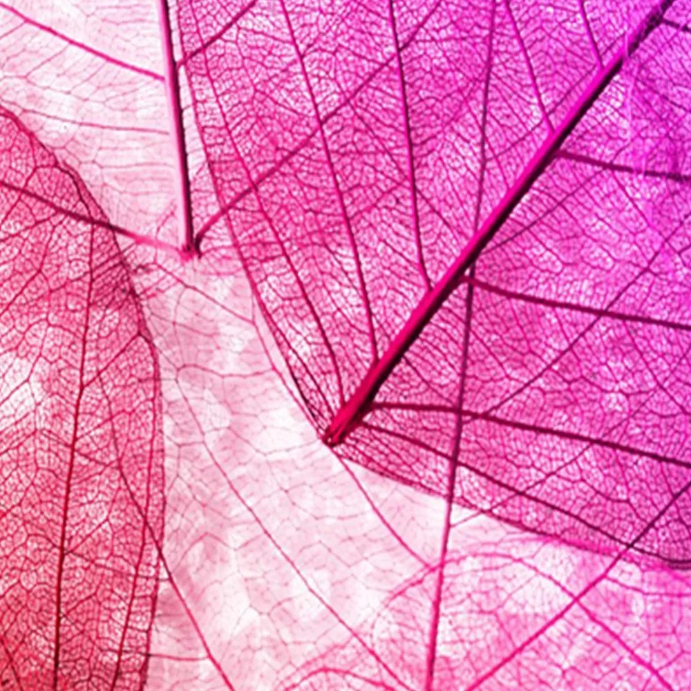 Gario Paraván Rózsaszín levelek Méret: 145 x 170 cm, Kivitelezés: Klasszikus paraván