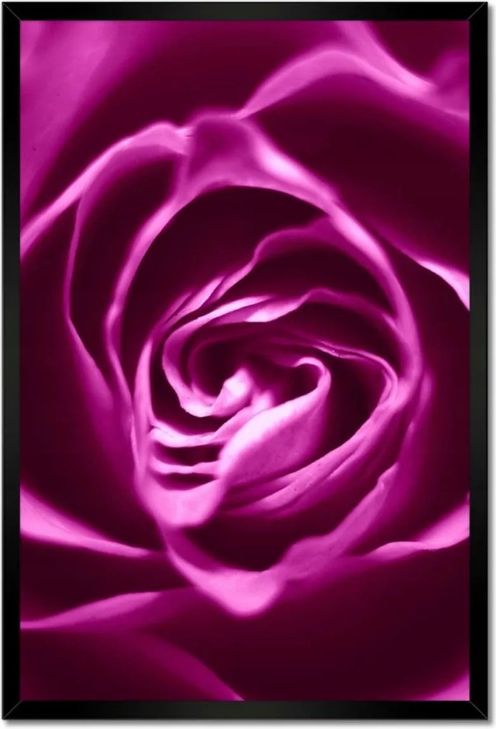 Poszter keretben 40x60 Lila rózsa Makrofotó