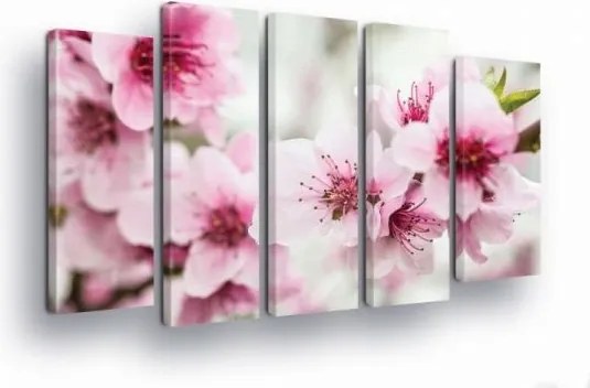 Vászonkép 150x100 Virágok Sakura polip tavasz rózsaszín természet nyugalom szépség