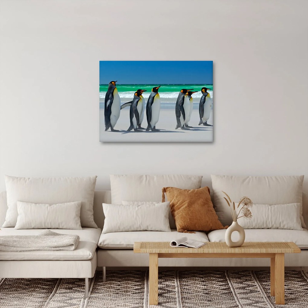 Kép - A Királyi pingvinek csoportja (70x50 cm)