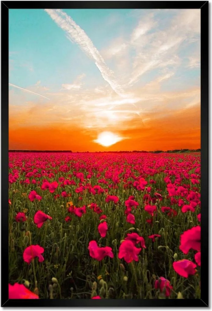 Poszter keretben 40x60 Rózsaszín pipacsok Naplemente