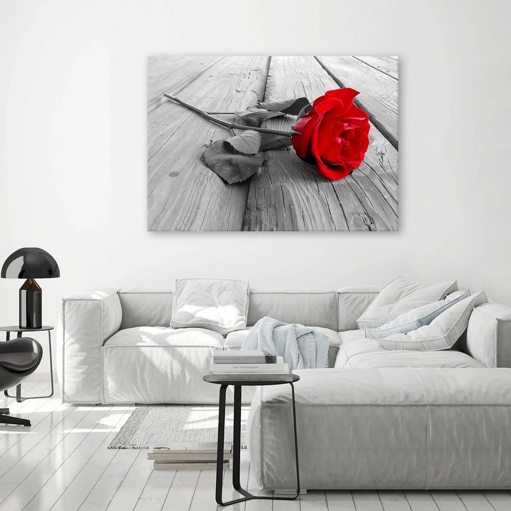 Gario Vászonkép Vörös rózsa Méret: 100 x 70 cm