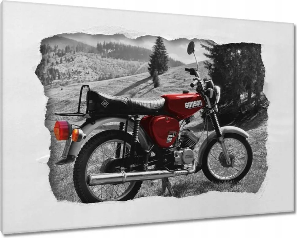 Vászonkép 60x40 Piros Simson S51 E
