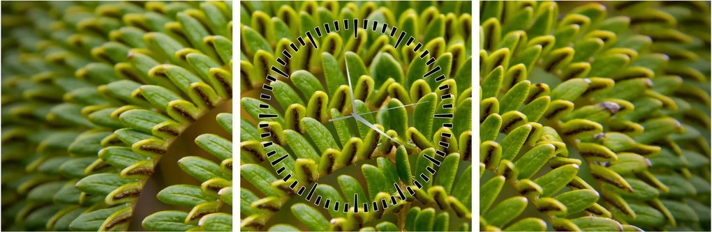 Kép - Fern (órával) (90x30 cm)