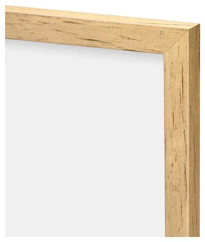 Kép 30x40 cm Grass – knor