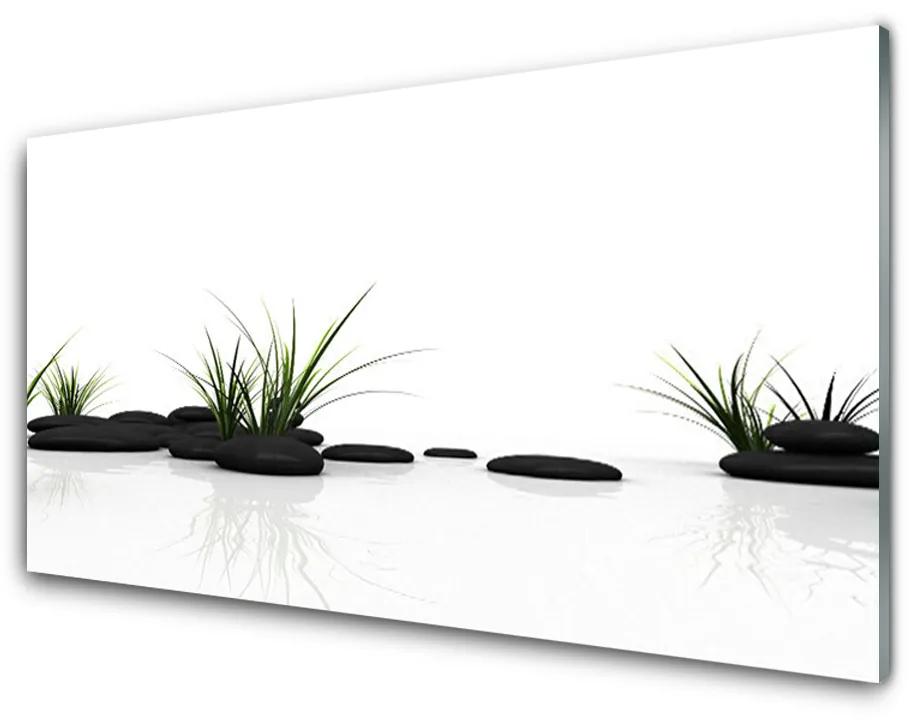 Akrilkép Grass víz tükör 140x70 cm