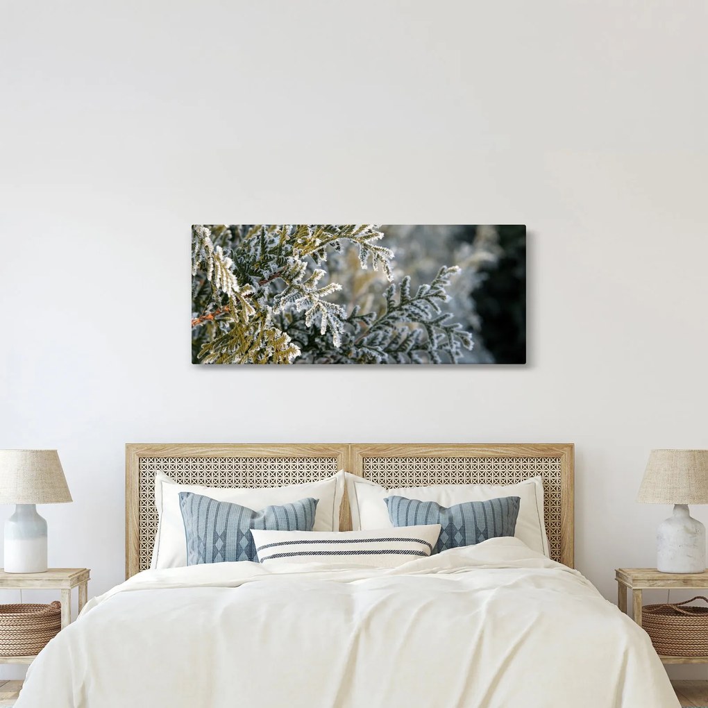 Kép - Ág részlet (120x50 cm)