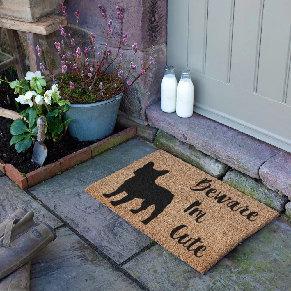 Kókuszrost lábtörlő 40x60 cm Beware I'm Cute French Bulldog – Artsy Doormats