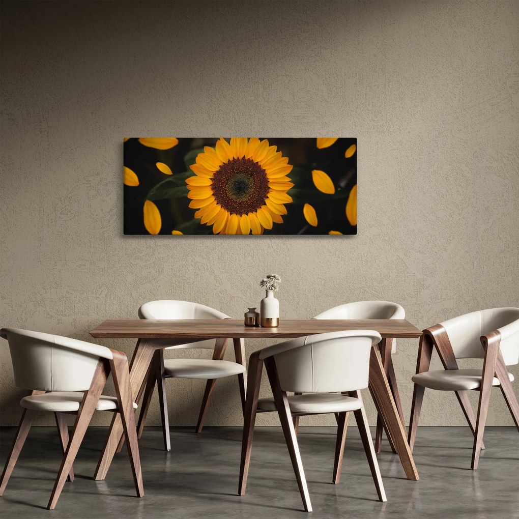 Kép - Napraforgók és a virágszirmok (120x50 cm)
