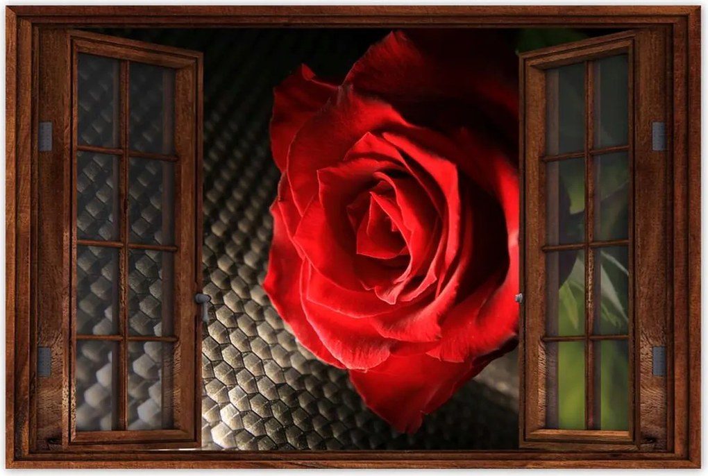 Poszter 60x40 Vörös rózsa levelekkel