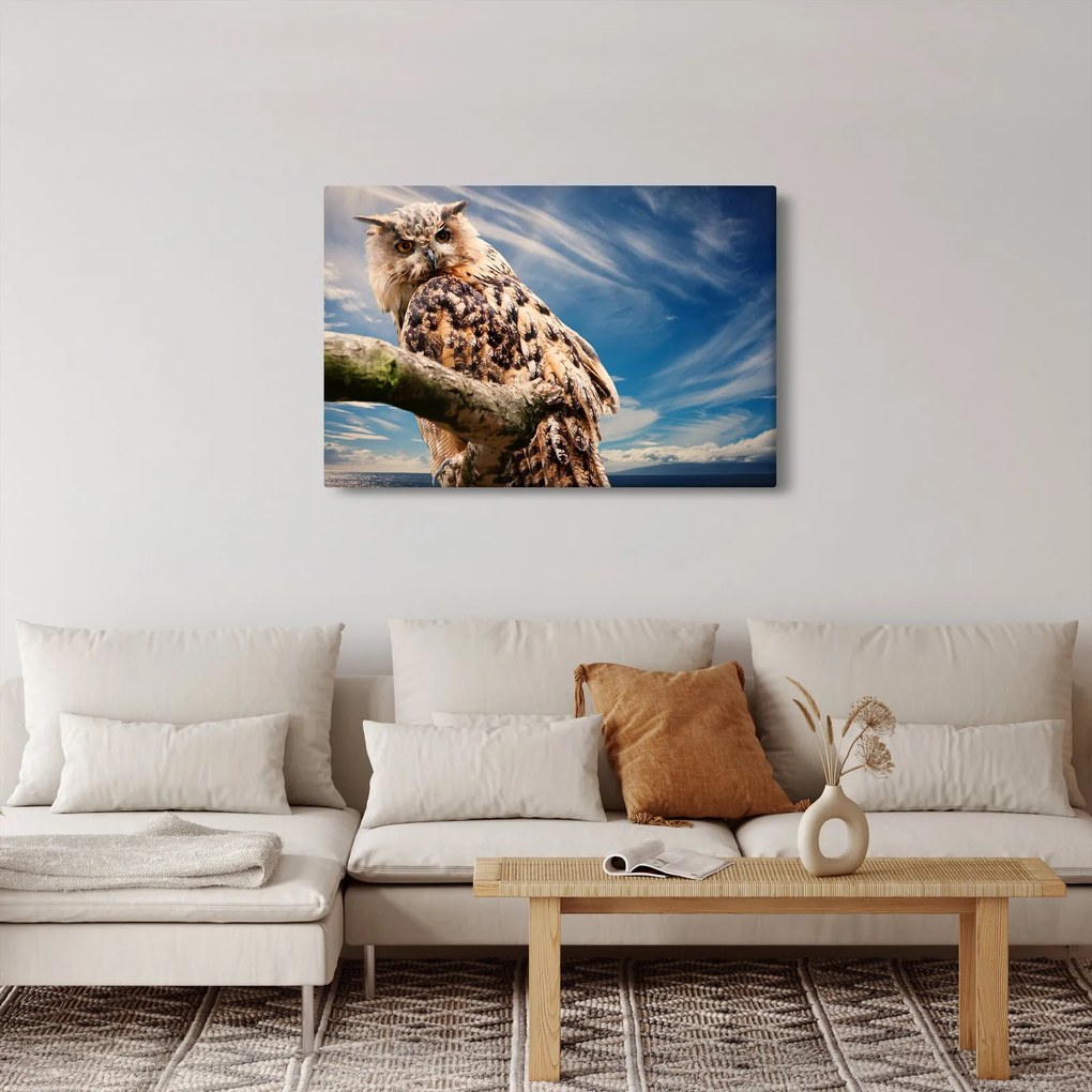 Kép - Bagoly (90x60 cm)