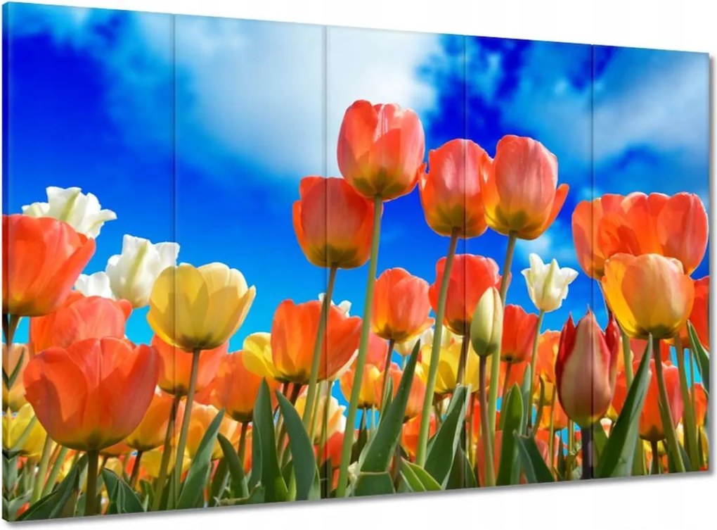 Vászonkép 100x70 Színes tulipánok