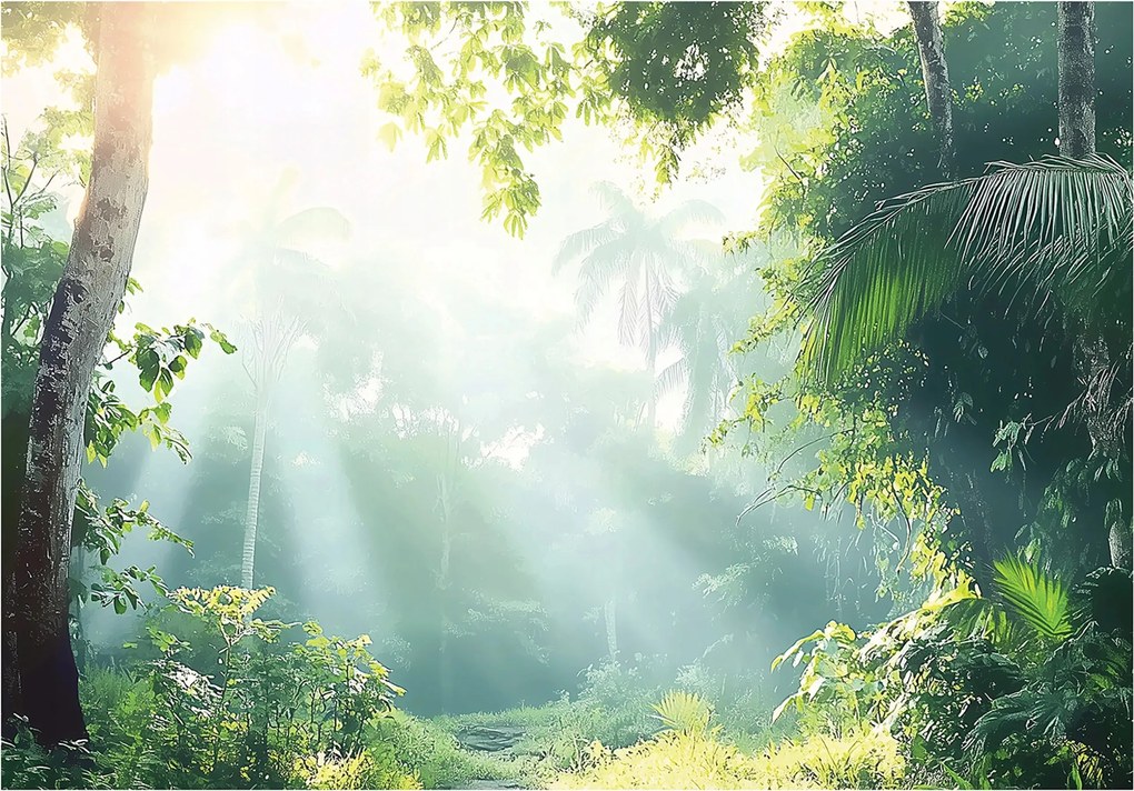 Fotótapéta Erdő A FlizelinEN Gyönyörű Kilátás fotótapéta falra ragasztó