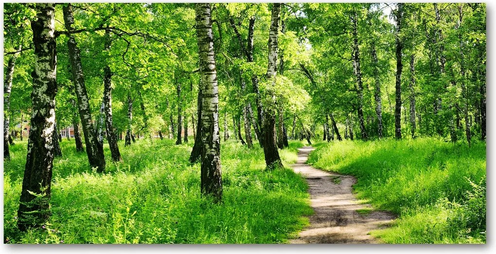 Fotó vászonkép edzett üveg Nyírerdő 140x70