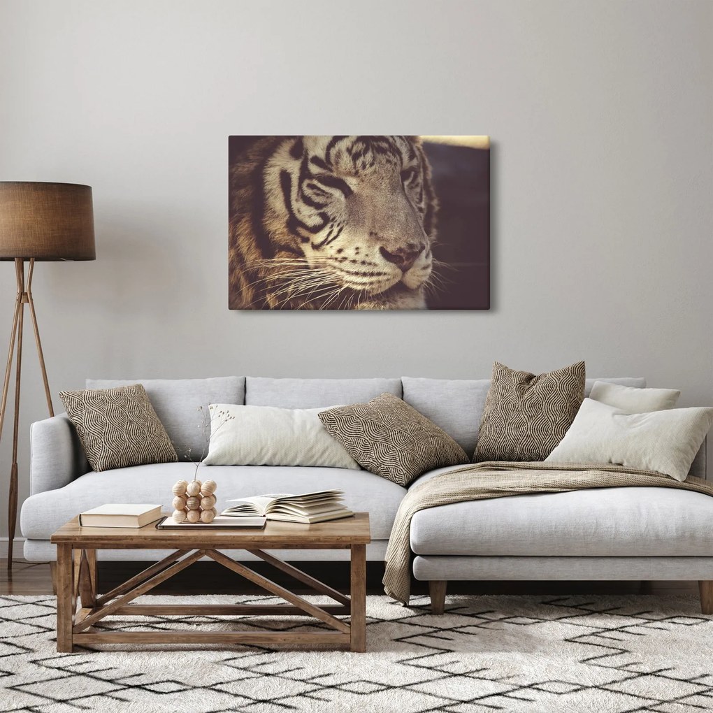 Tigris képe (90x60 cm)