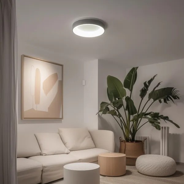 Brilagi - LED Dimmelhető mennyezeti lámpa LED/40W/230V 3000-6500K ezüst + távirányító