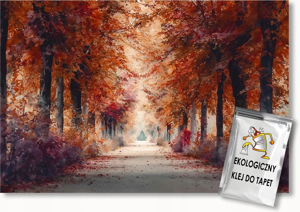 Fotótapéta Flizelina Tájkép Természet Ősz Park Sikátor Ösvény 350x250 ragasztó