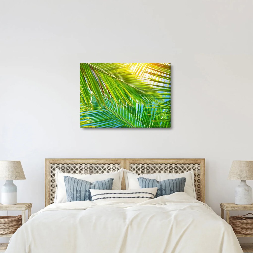 Kép - Pálmalevelek (70x50 cm)