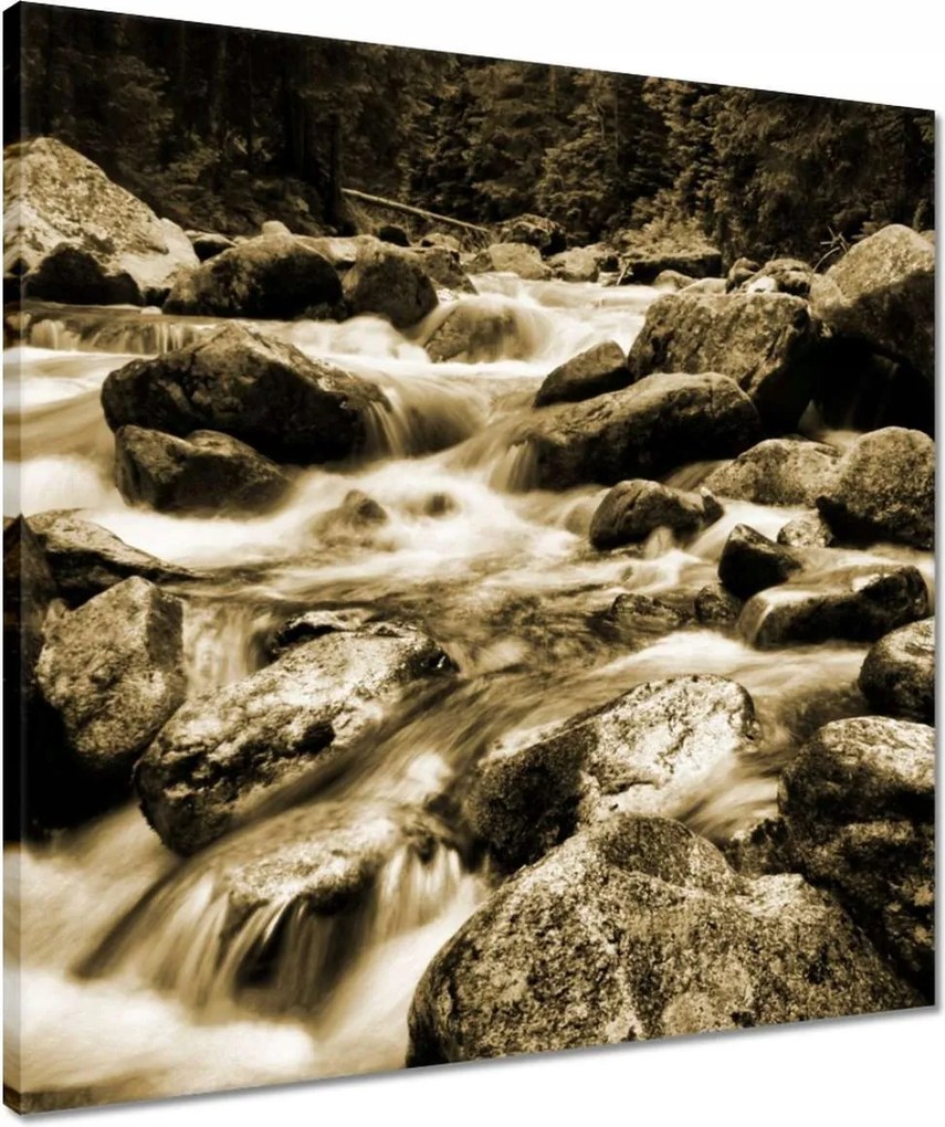 Vászonkép 50x50 Tátra Lengyel hegyek Kilátás