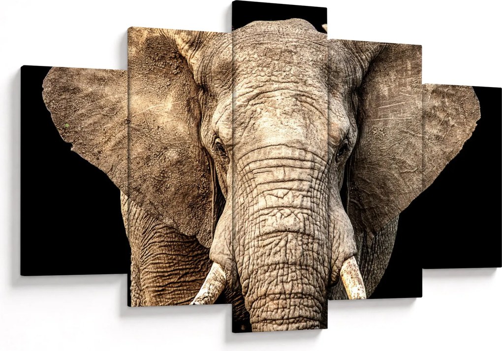 Kép - Afrikai elefánt (150x105 cm)