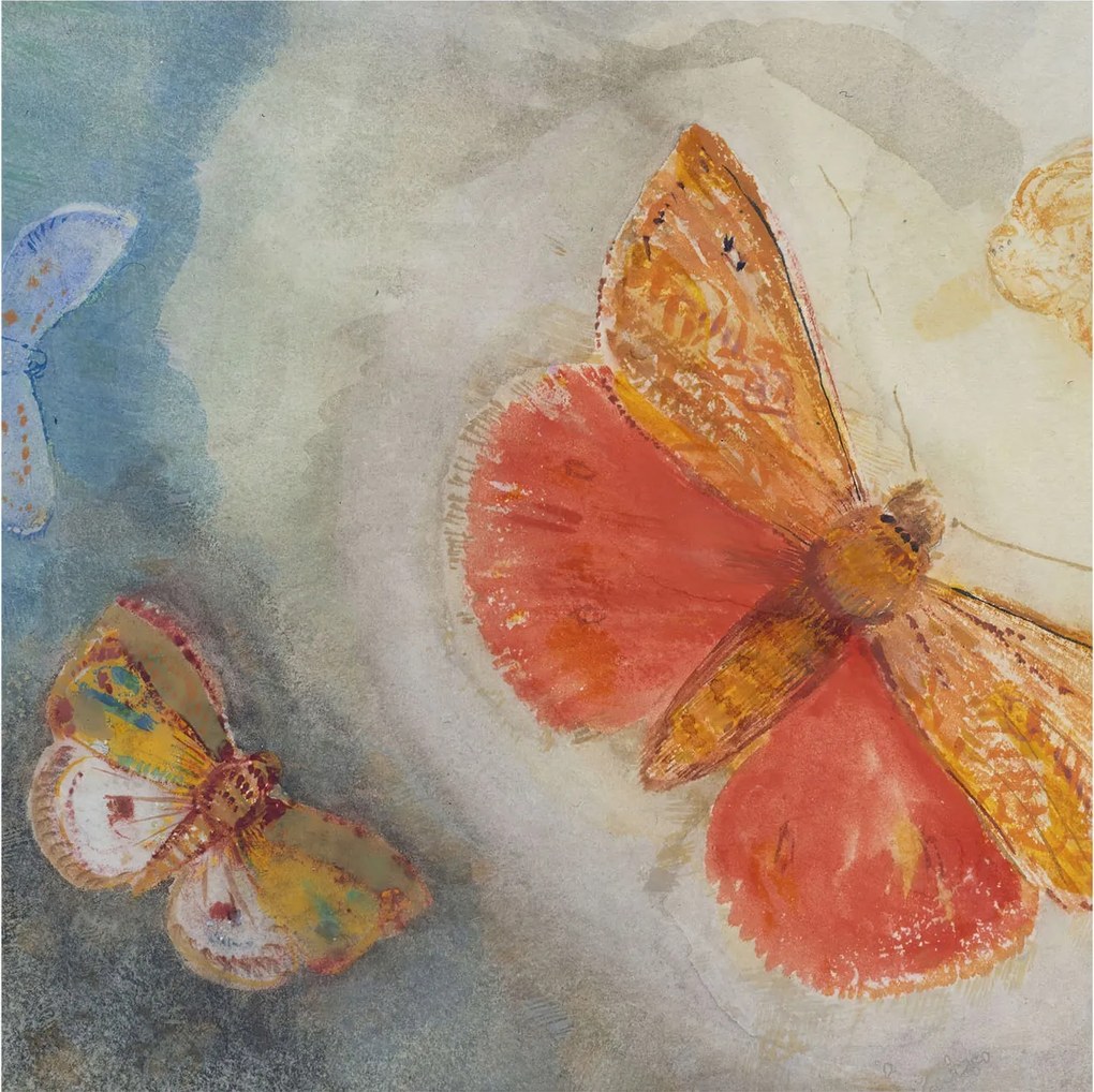 Fotótapéta Flizelin Tapéta Hálószobába és Nappaliba Színes pillangók 250x250