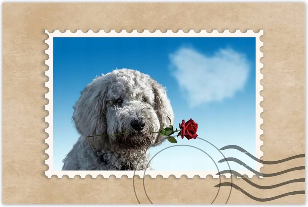 Poszterek 90x60 Szerelmes korcs szerelem