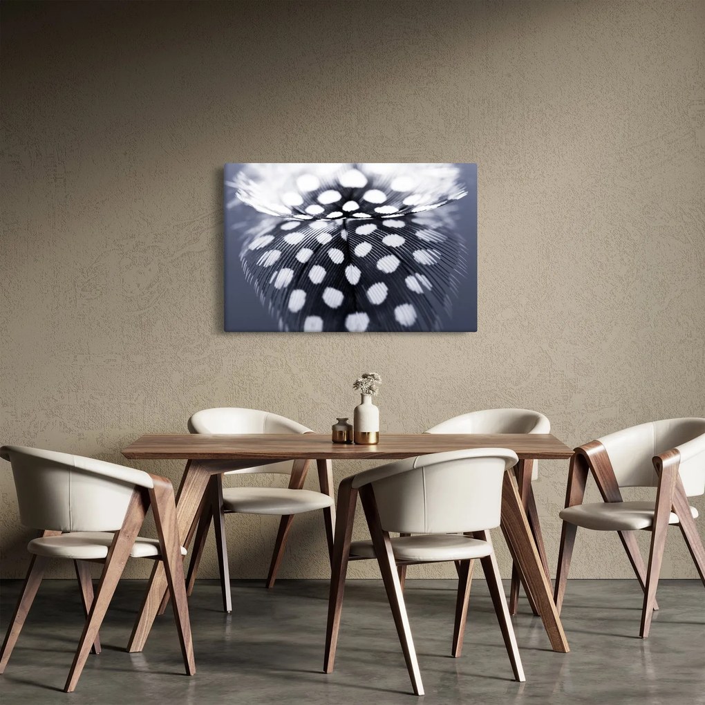 Kép - Toll (90x60 cm)