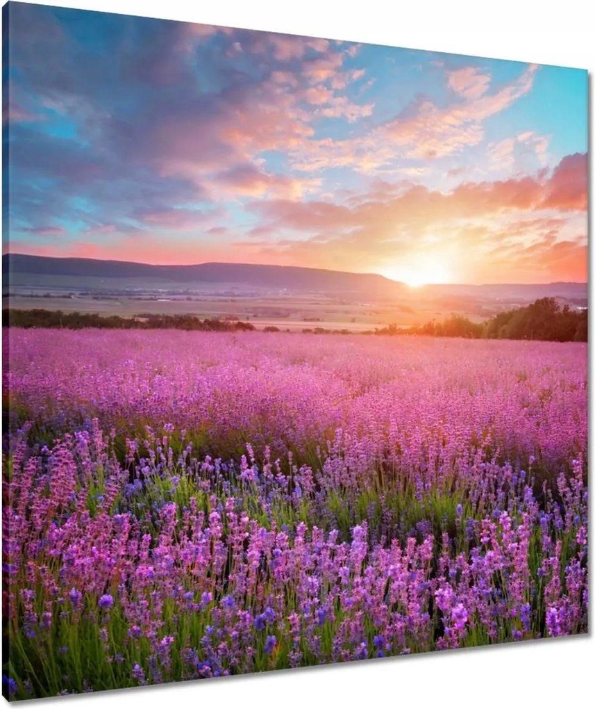 Festmények 80x80 Nyugaton változatlan