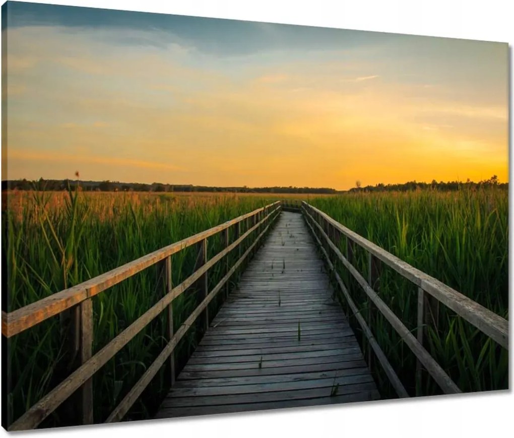 Vászonkép 80x60 Tájkép Naplemente