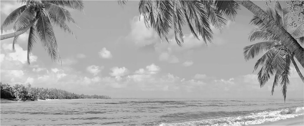 Flizelin tapéta Divatos 3D fali ragasztó Trópusi paradicsom 250x104 Ragasztó