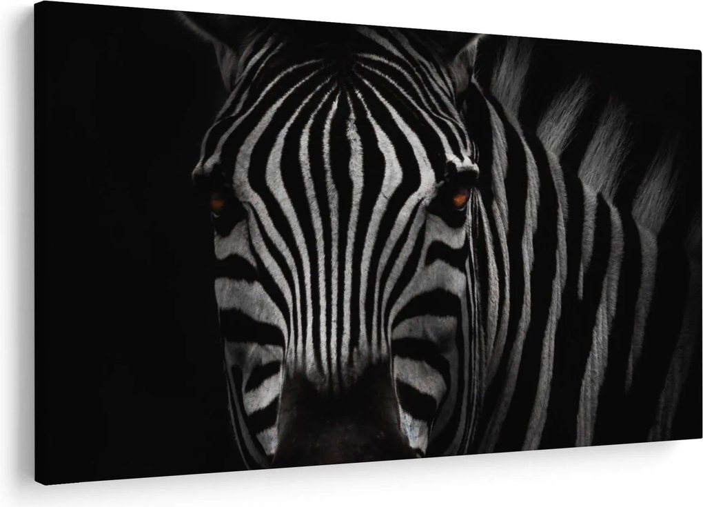 Zebra képe (90x60 cm)