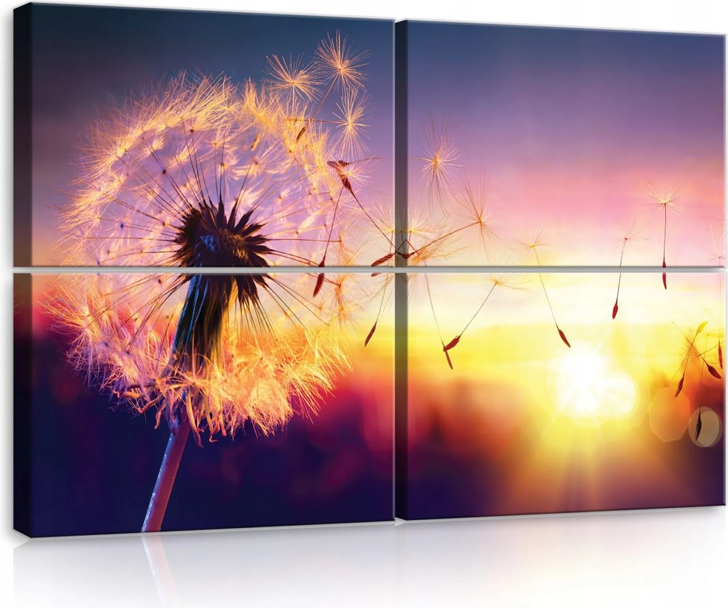 Vászonkép 120x80 Pitypang naplemente természet fény álom nyugalom