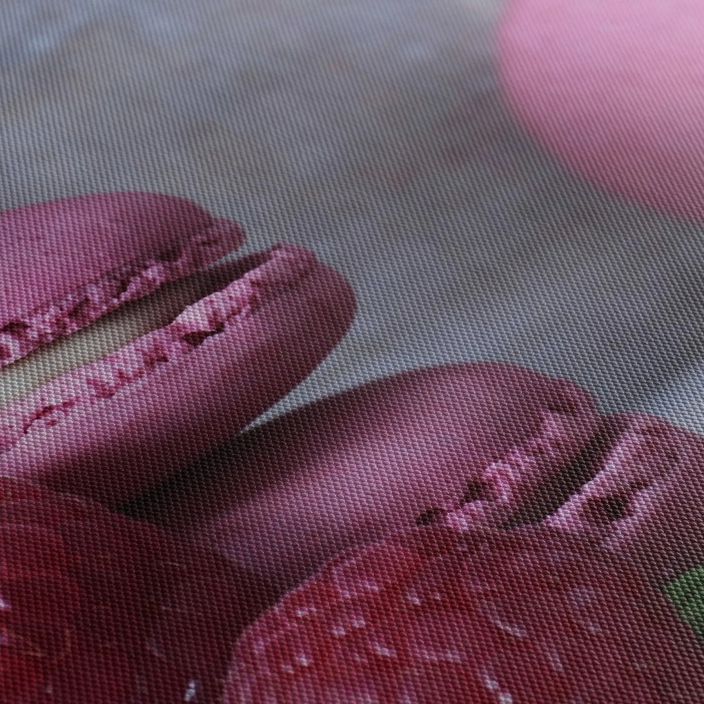 A macaroons képe (120x50 cm)
