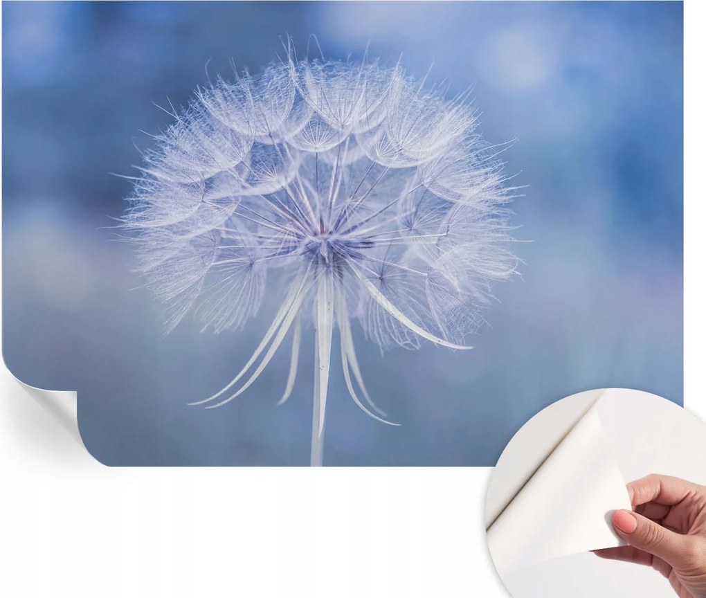 Öntapadós tapéta 3D fali furnér Kék finomság 152x104 cm