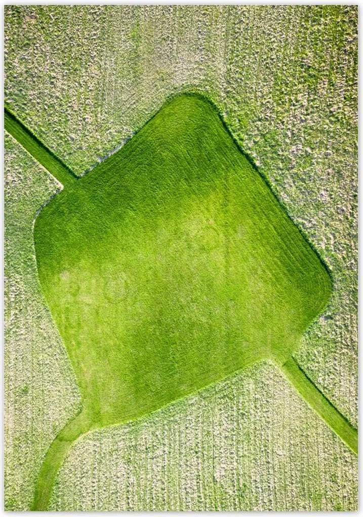 Poszterek 70x100 Fű mező rét út